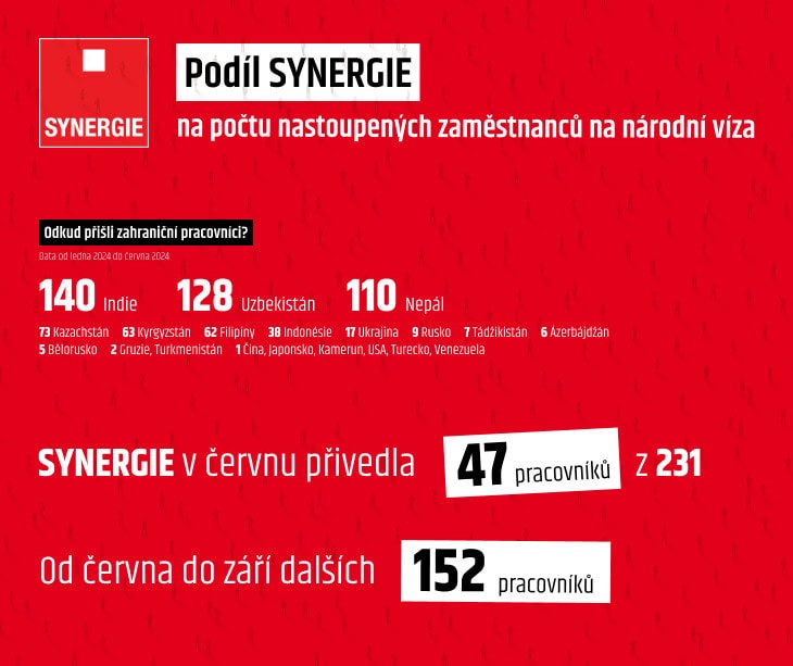 Podíl SYNERGIE na počtu nastoupených zaměstnanců na národní víza